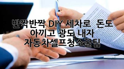 ✨반짝반짝 DIY 세차로 🚗💨 돈도 아끼고 광도 내자! #자동차셀프청소꿀팁