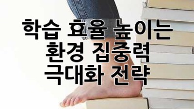 학습 효율 높이는 환경: 집중력 극대화 전략